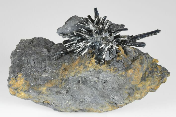 Lustrous, Metallic Stibnite Crystal Spray On Matrix - China #175843